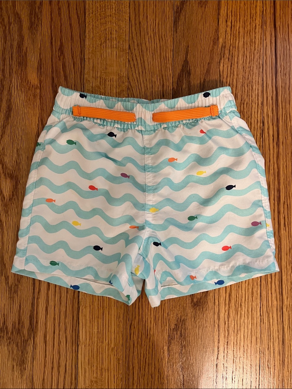 Primary Swim Trunks in Rainbow fish Print on Mist, size 18-24 mo